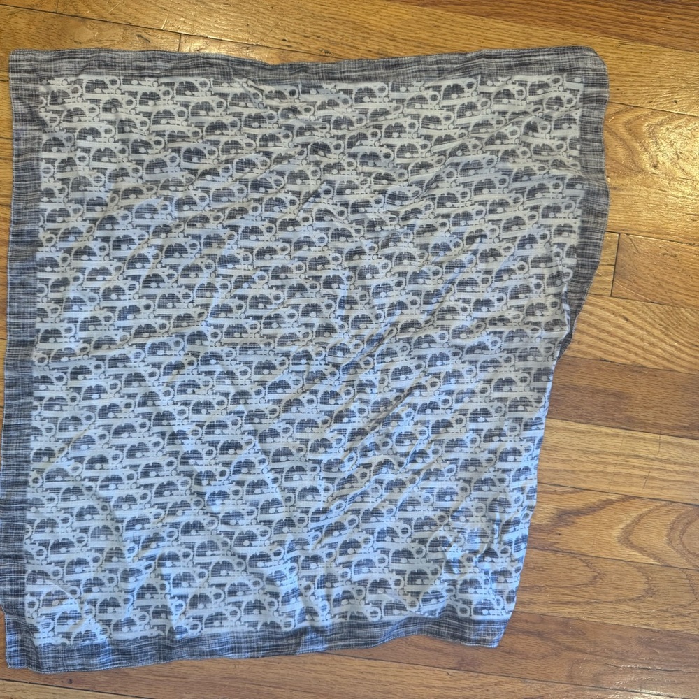 Dior Oblique Scarf